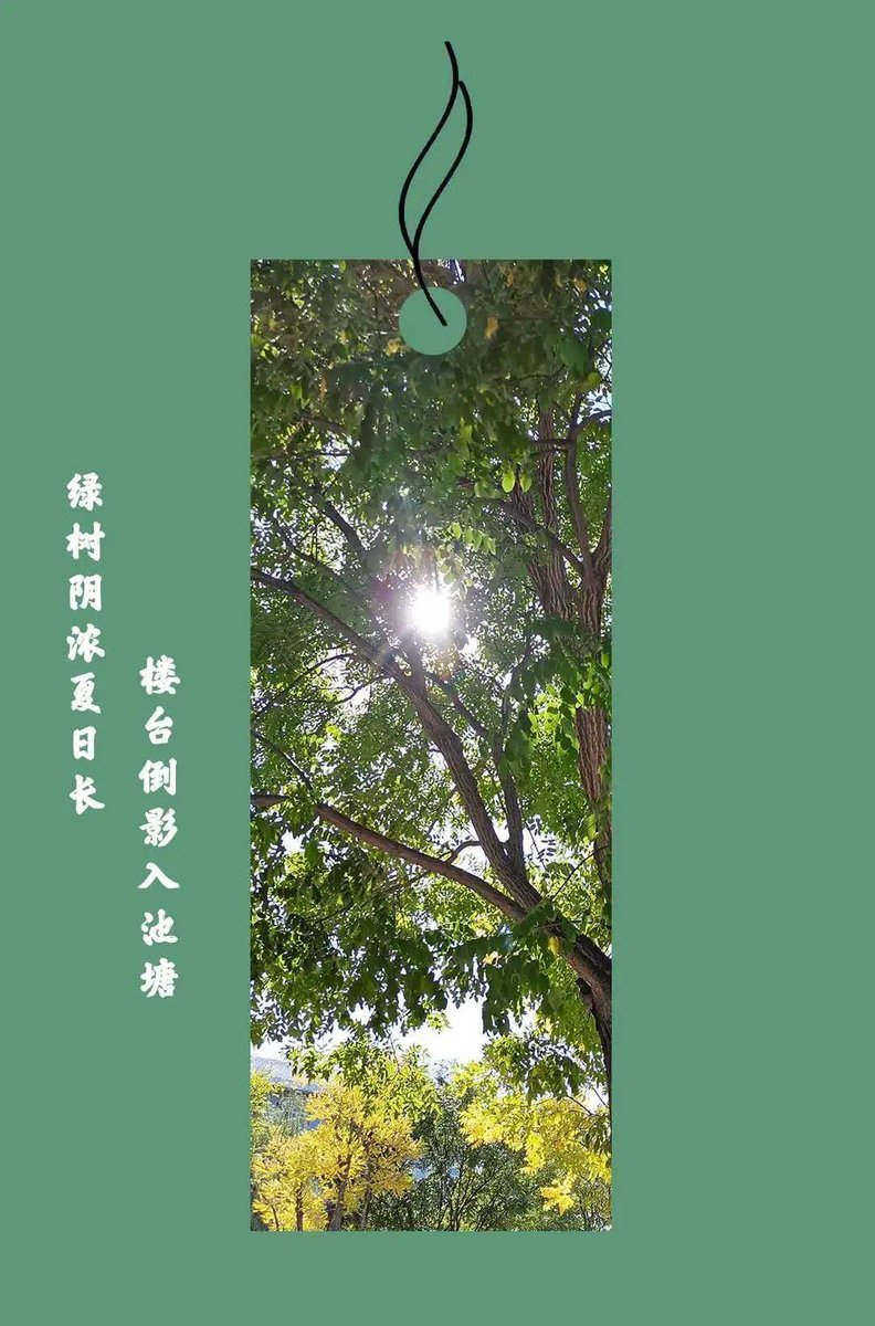 Angelucci Anna tweet media