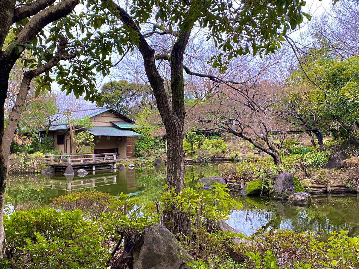 enjoyadachi's tweet photo. 春の美術館巡りのひとつにぜひ🌸
足立区立郷土博物館は、建物左脇から無料で立ち寄れる茶室付き庭園も素敵なんです✨ https://t.co/wEi4puidm8