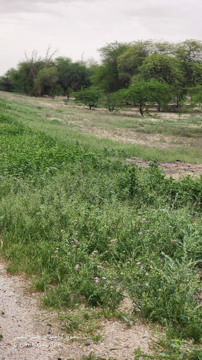 م. عبدالله الشايب tweet media