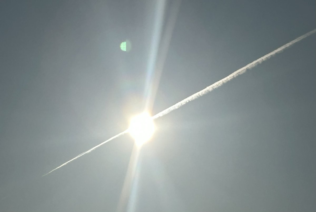 L’Indi 4th tweet media