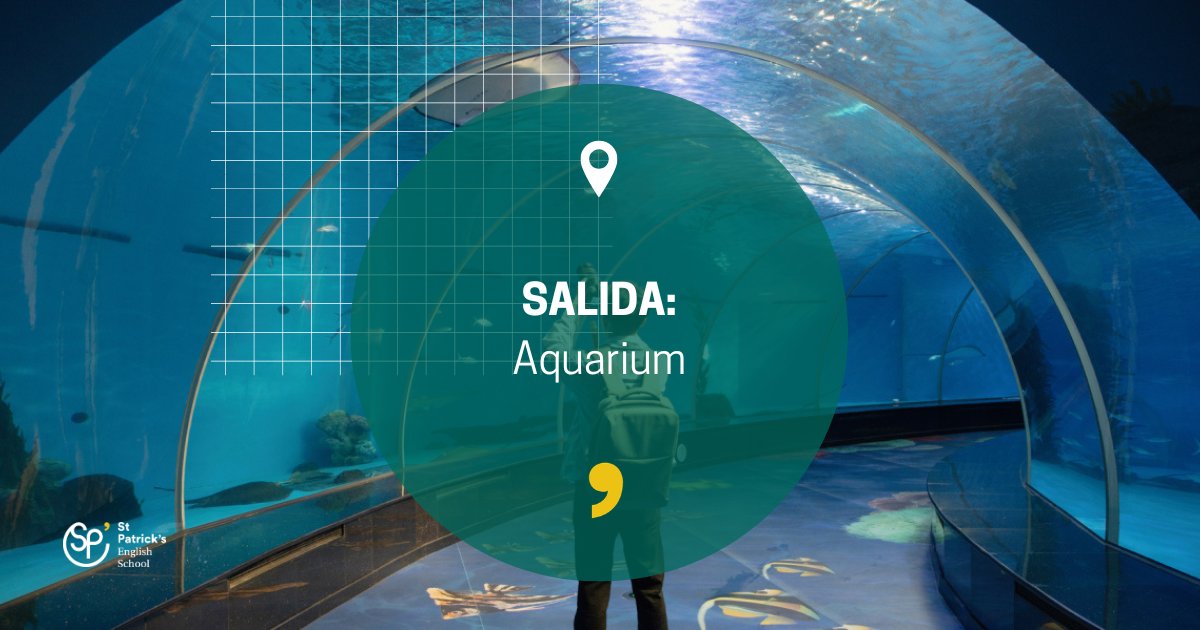 St. Patrick's English School tweet media