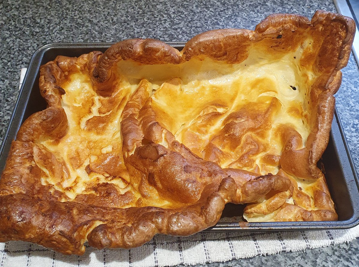 Fi 🌱🌼🌱 tweet media