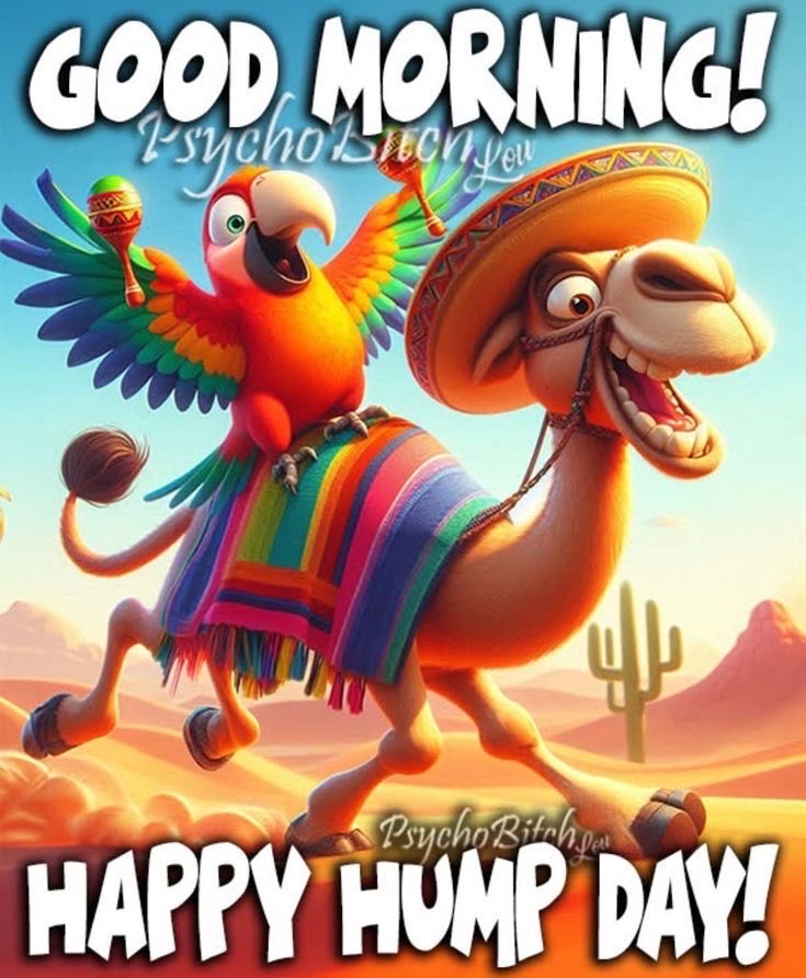 Stephanie tweet media