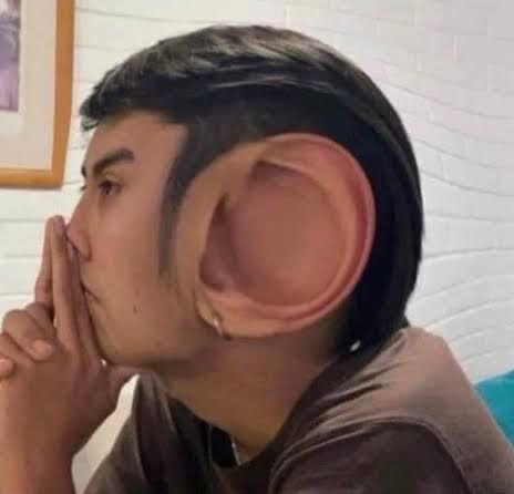 Prunelle À Jeun tweet media