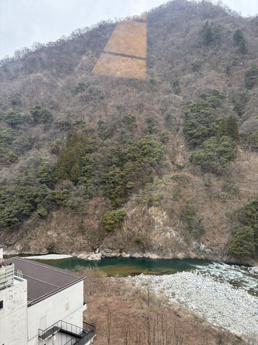 ラスカルたすかる tweet media