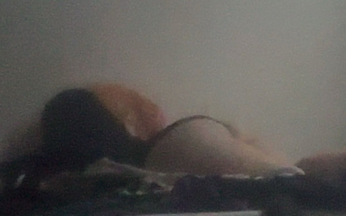 bashfulpotatoe's tweet photo. little sneak peak 🫣

#nsfwtwt #nsfw #ass #horny #bashful #chubbynsfw https://t.co/fFiQXgQSJC