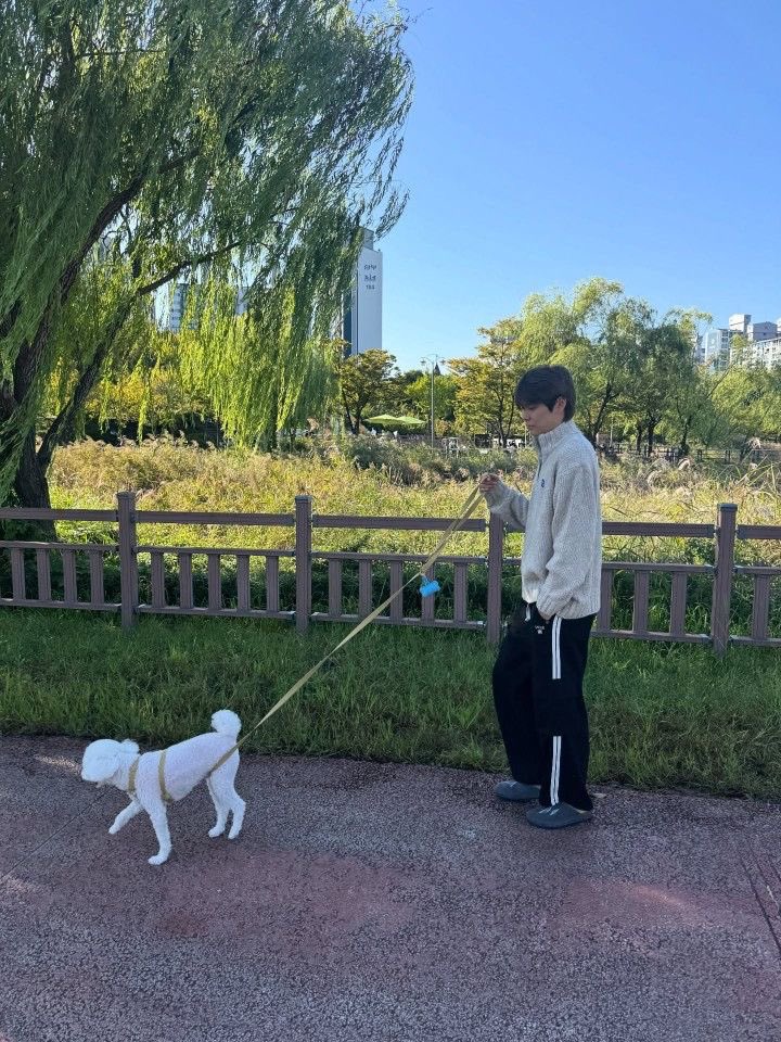 หมาวัด tweet media