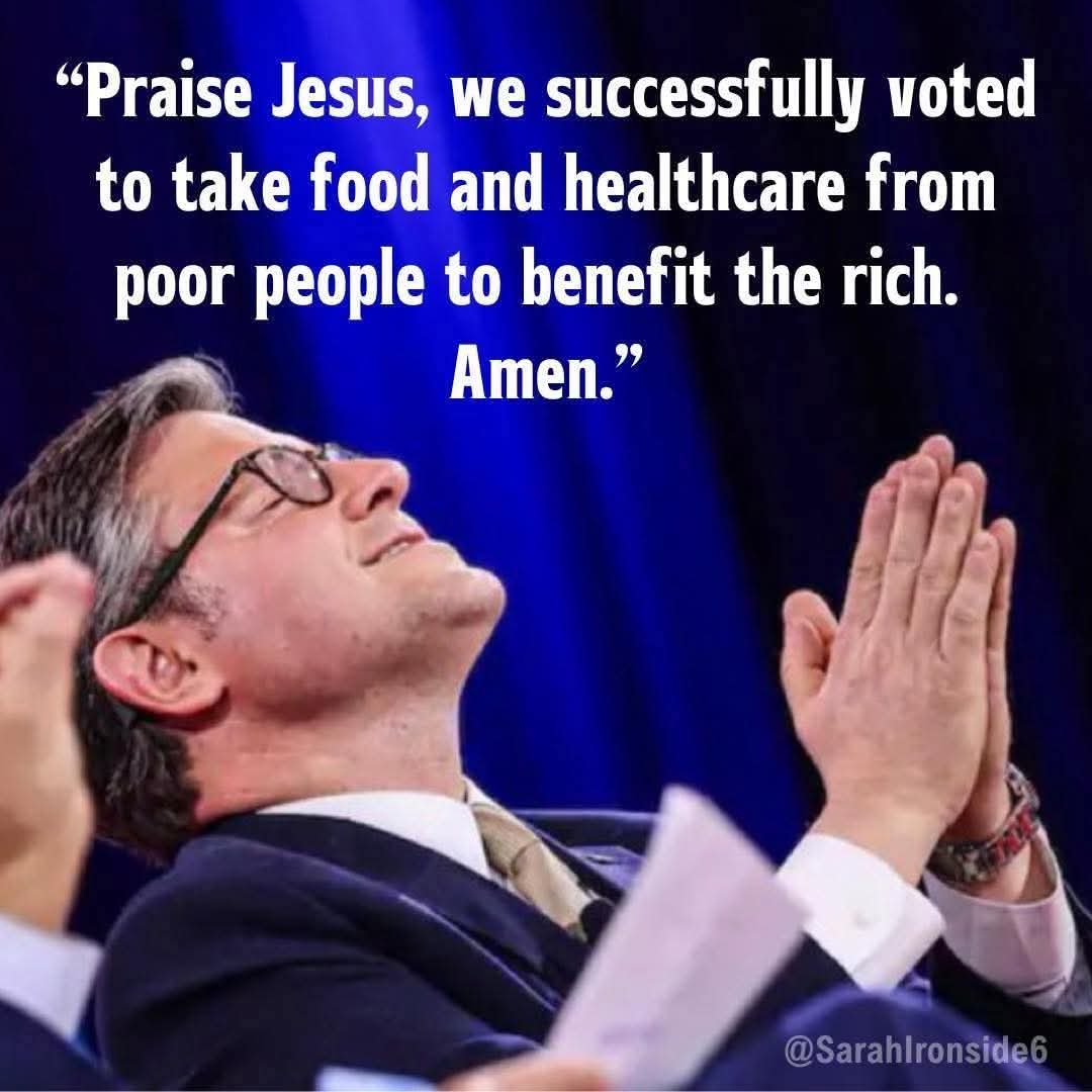 Ginger Edwards 🐛 tweet media