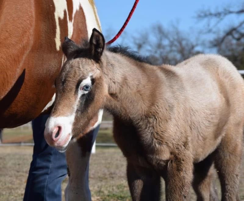 🐎 Lucky McQueen 🏎️ tweet media