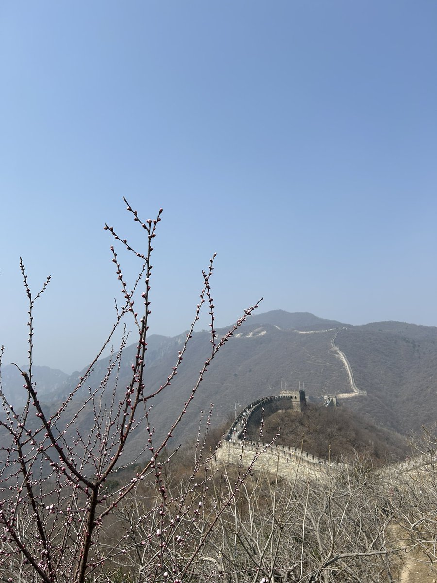 ~babehwi | 1¹¹=1 | tweet media