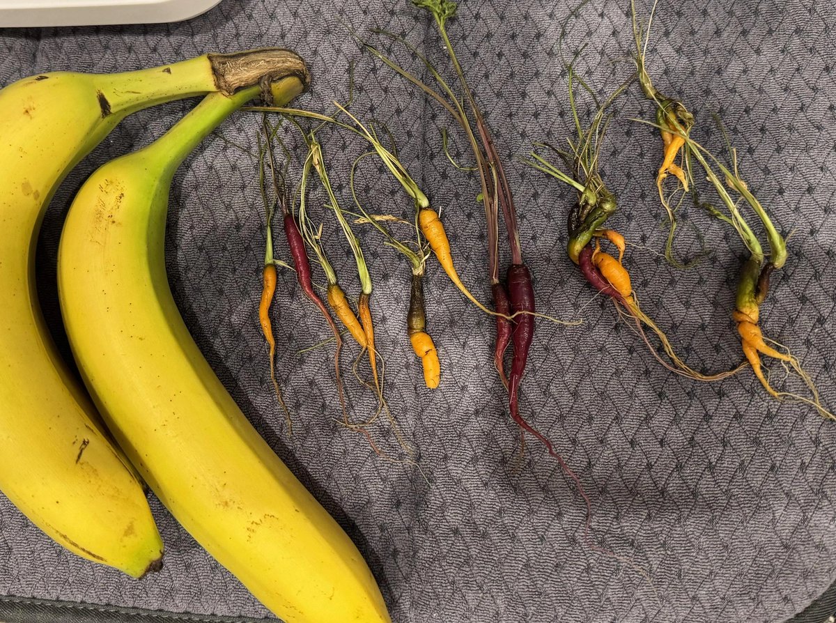 ताज़ा तमाचा tweet media