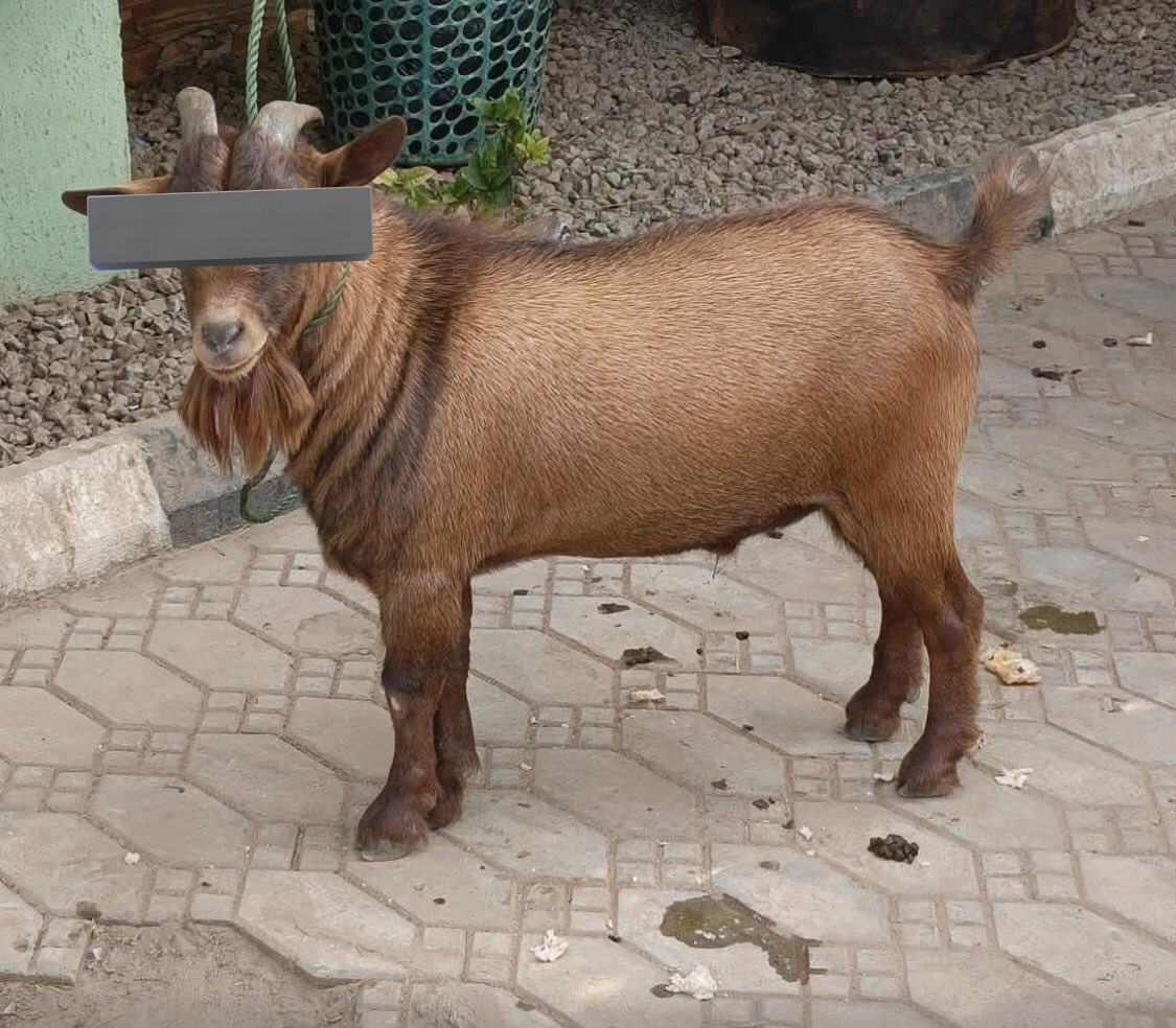 Jeff👻🔥 tweet media