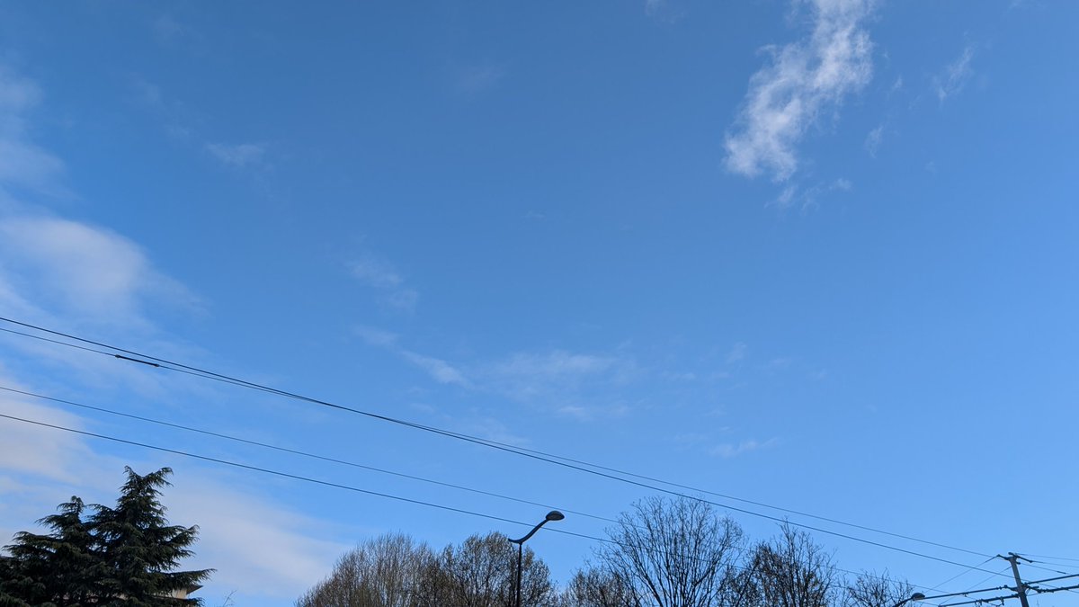 Schniarfeur tweet media