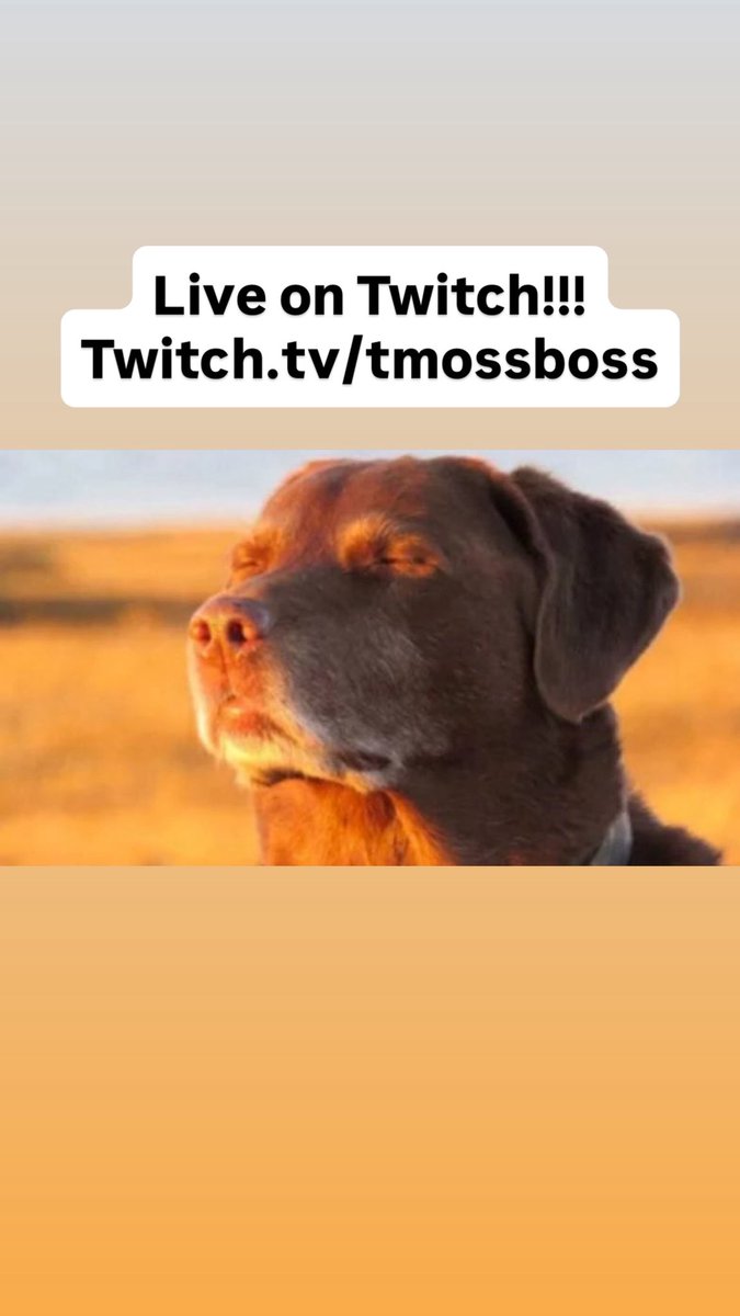 tyler, the content creator tweet media