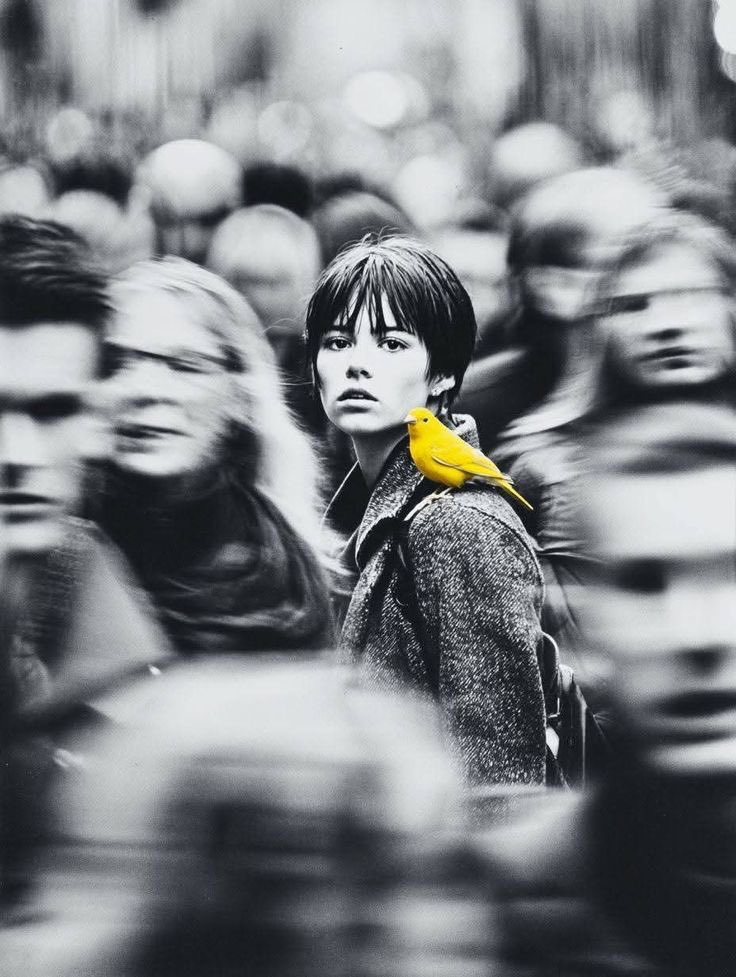 ✞✟† 🅰️d Vitam 🐓🪢 tweet media