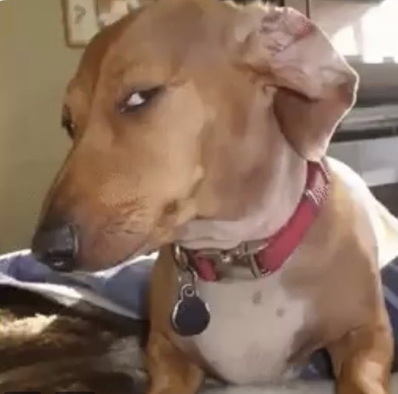 Target UTD⭐️ tweet media