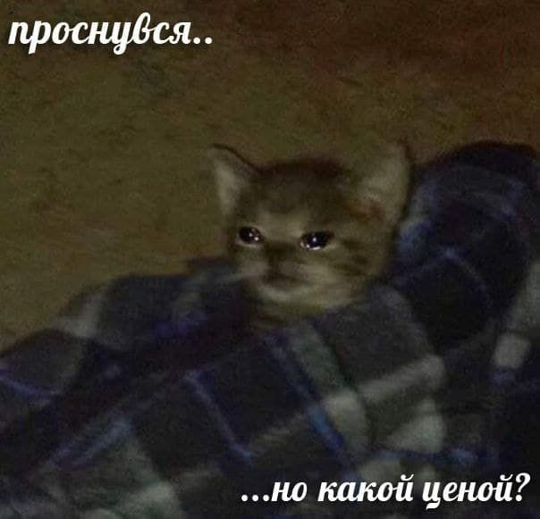 Bayern Knight 🇩🇪 tweet media