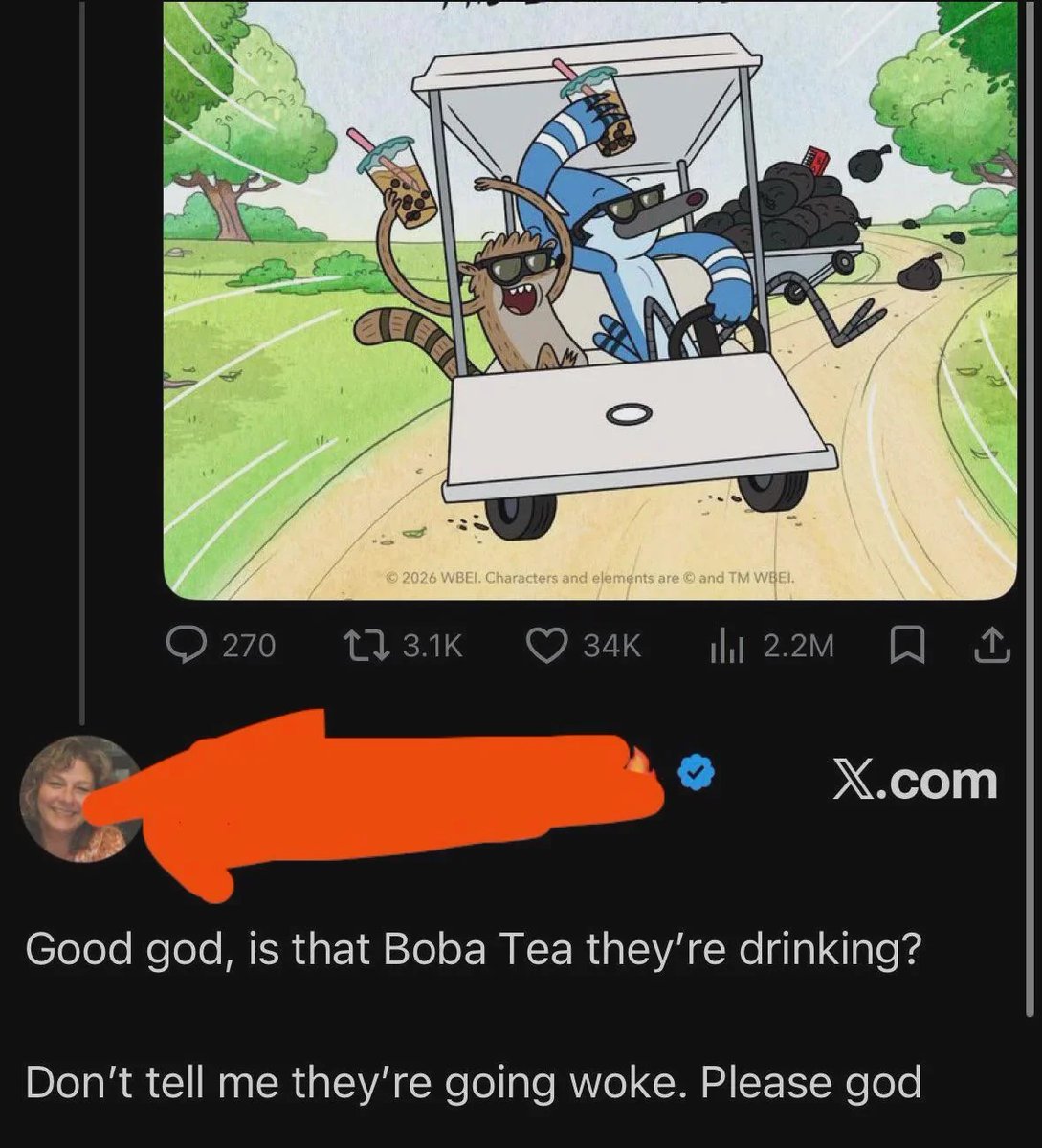 tea but millennial genz is woke now

the woke show