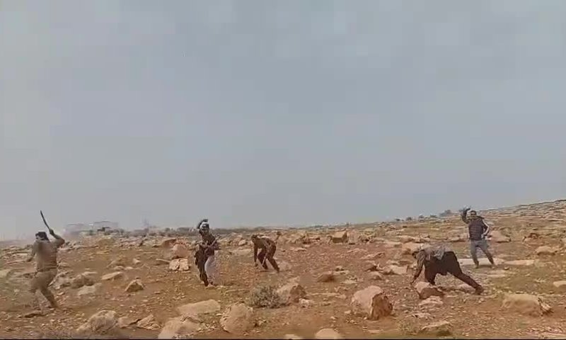 שמחה רז tweet media