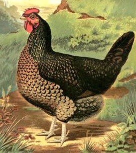 Jean-Marc Bèche tweet media