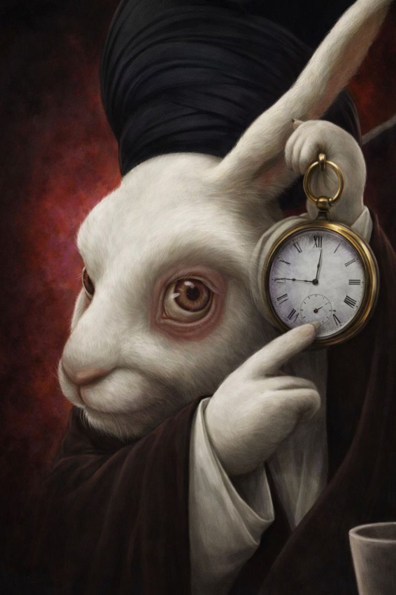 doomernat tweet media