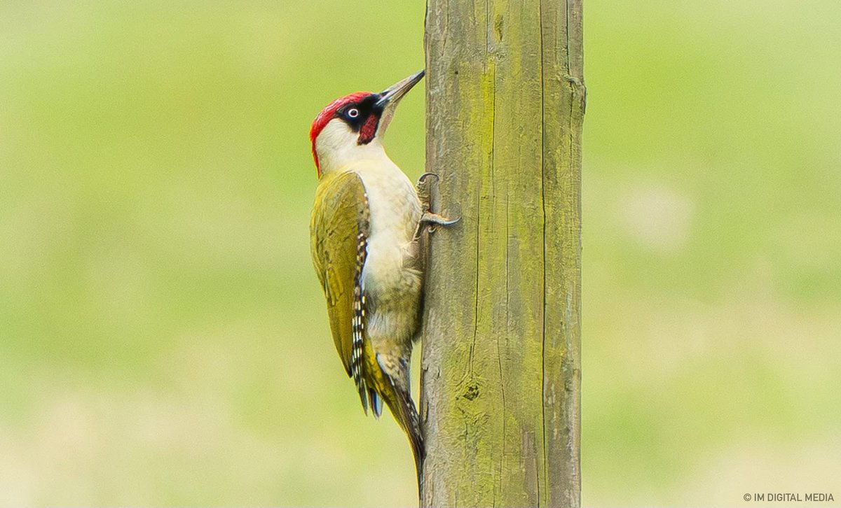 UK Photoshoots. tweet media