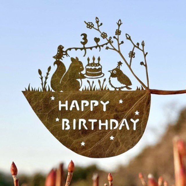 Rose🌸 tweet media