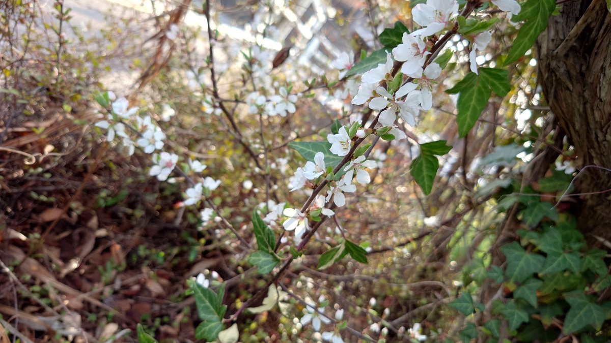 Cat-a-lyst ハンドメイド資材店 tweet media