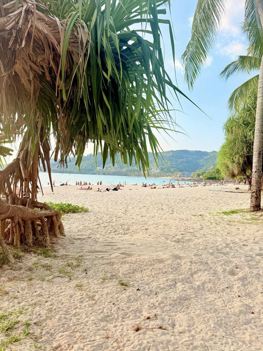 Светлaнa Шерстобитова tweet media