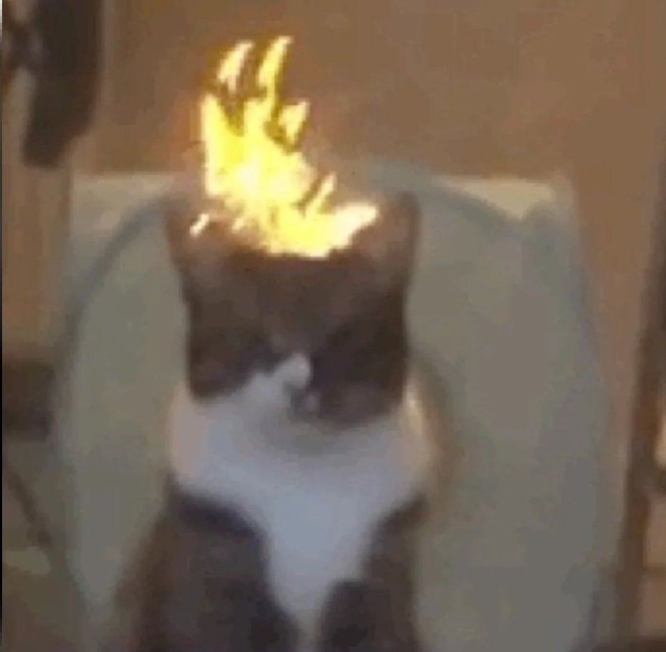 SFIGATTO tweet media