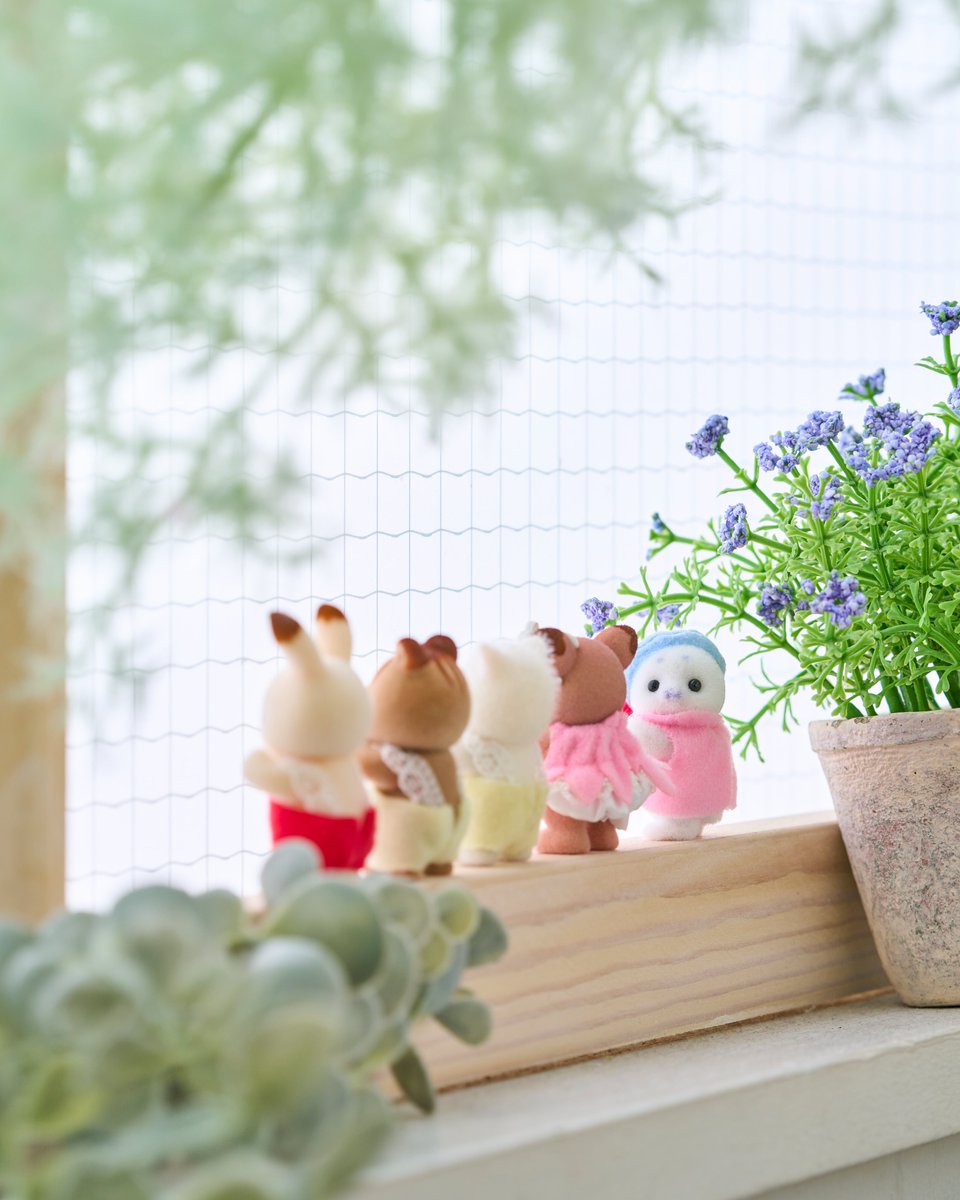 シルバニアファミリー【公式】 tweet media