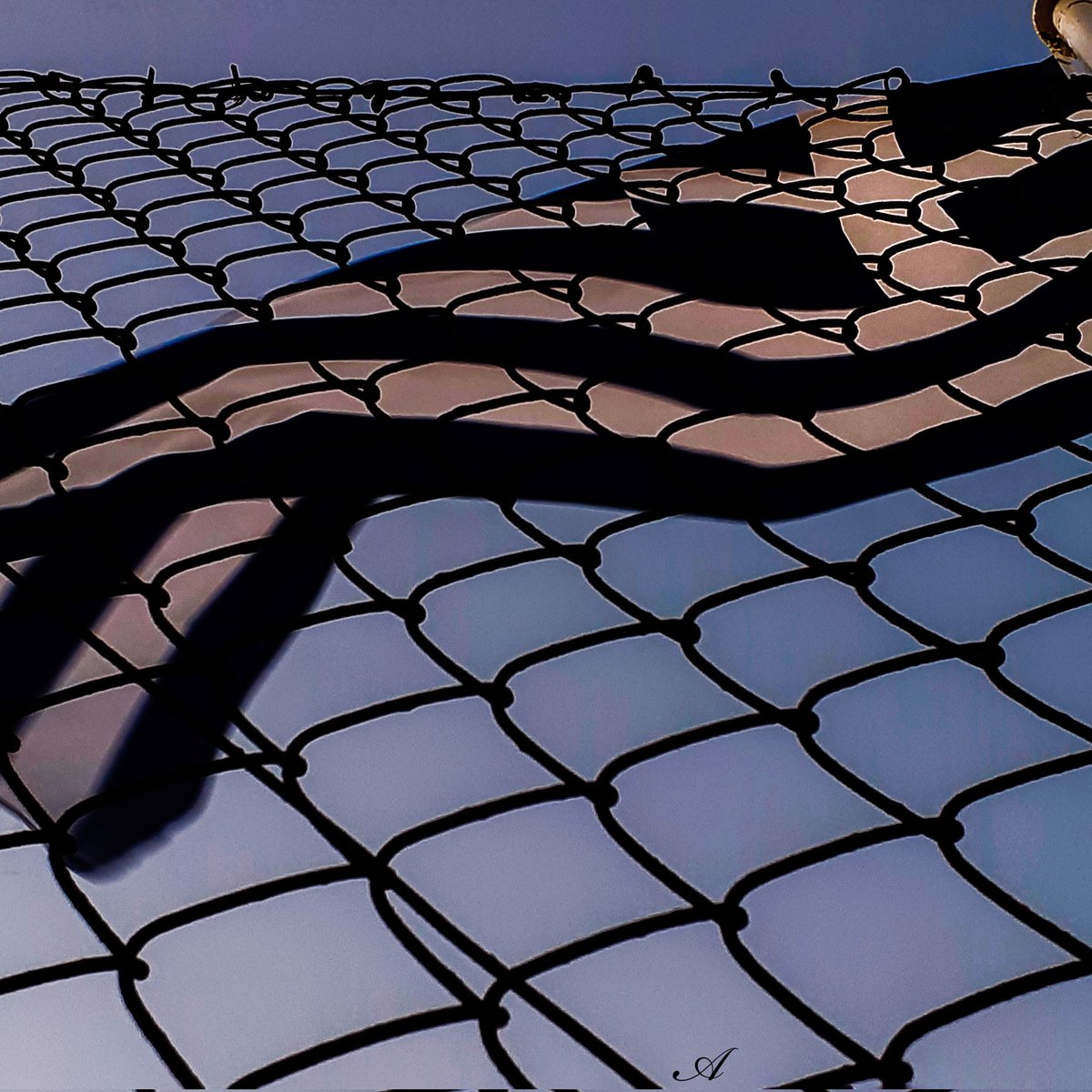 Black Velvet tweet media