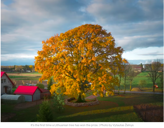 Prof. Sohail tweet media