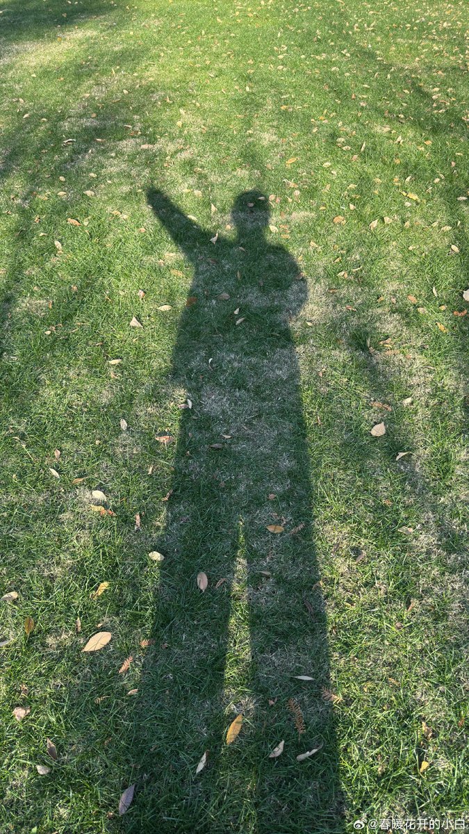 Simona maggioni tweet media