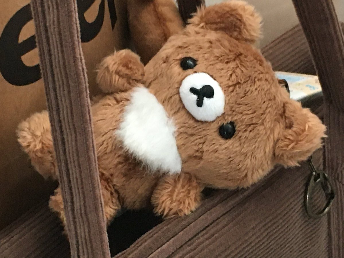 유우。 tweet media