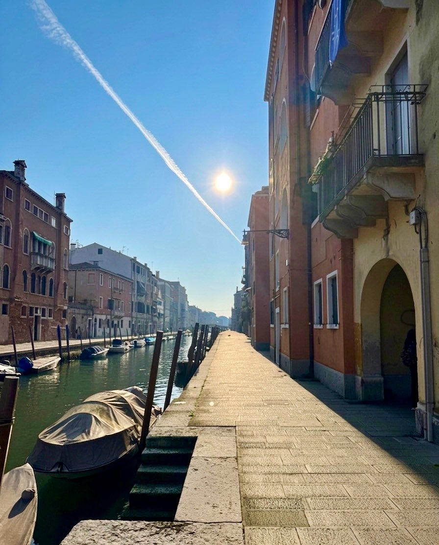 Dario⚡️ tweet media