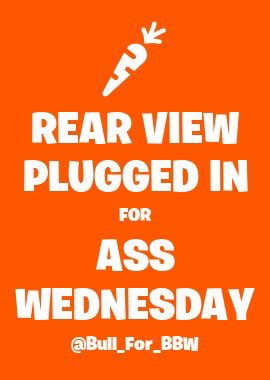 BullforBBW tweet media