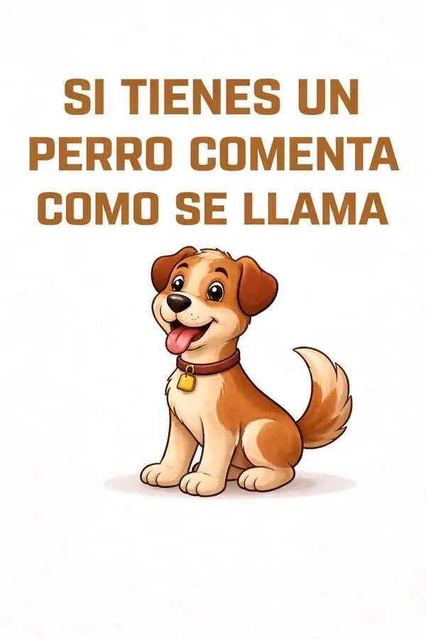 Zorrito 🦊 tweet media