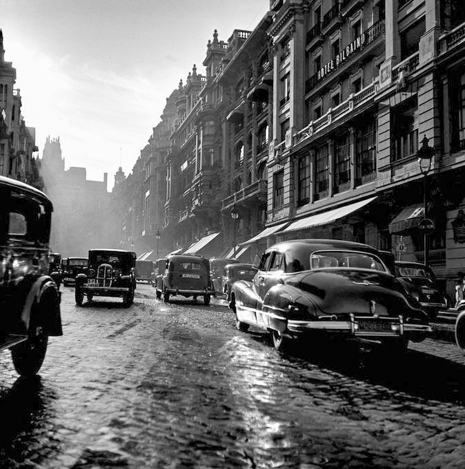 Adrián | Gato por Madrid 😺 tweet media