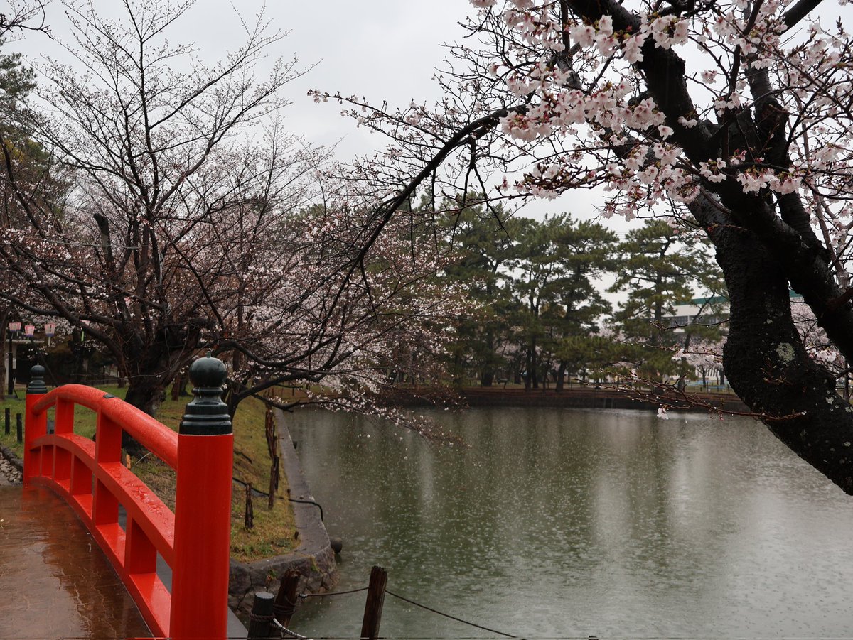 いけだ かつみ tweet media