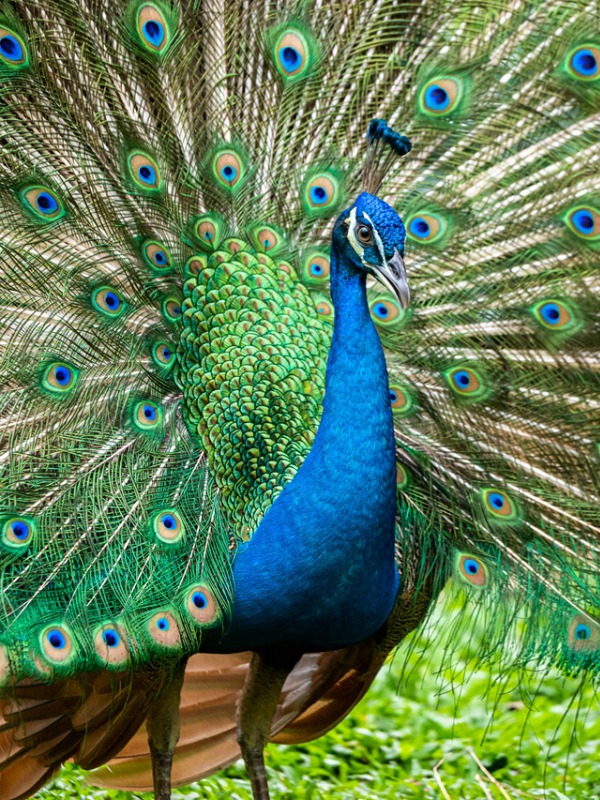 TheYorksTimes's tweet image. I’m Divorcing A Narcissist – What Do I Need To Know? #narcissist #jonesmyersfamilylaw #divorce #familylaw #familylawyersleeds #familylawyersyork #familylawyersharrogate #yorkshiretimes #financialsettlement yorkshiretimes.co.uk/article/Im-Div…