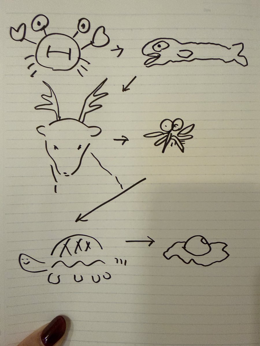 P丸様。🐣🍳 tweet media