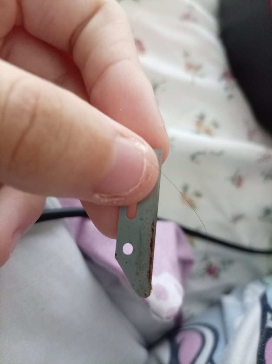 𐔌՞ ܸ.ˬ.ܸ ՞𐦯 Milo tweet media