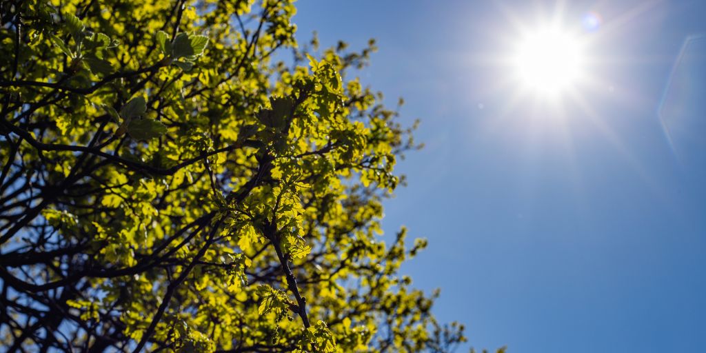 Servicios Junta de Andalucía tweet media