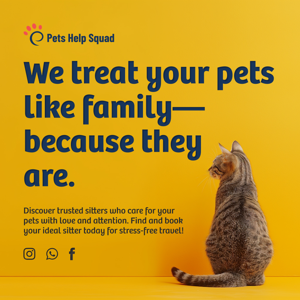 Petsinsync's tweet photo. We treat your pets like family because they are. Find your ideal sitter today.

#PetsHelpSquad #HomeCarePets #ProfessionalSitters https://t.co/pLkSGfhjci