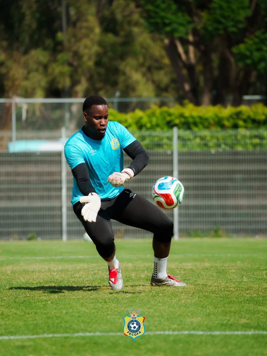 Leopard Leader Foot tweet media