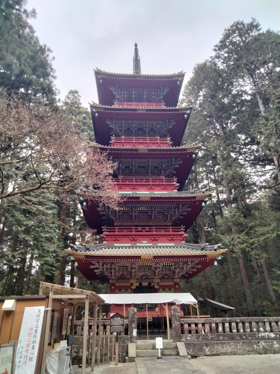 もうかのほし tweet media