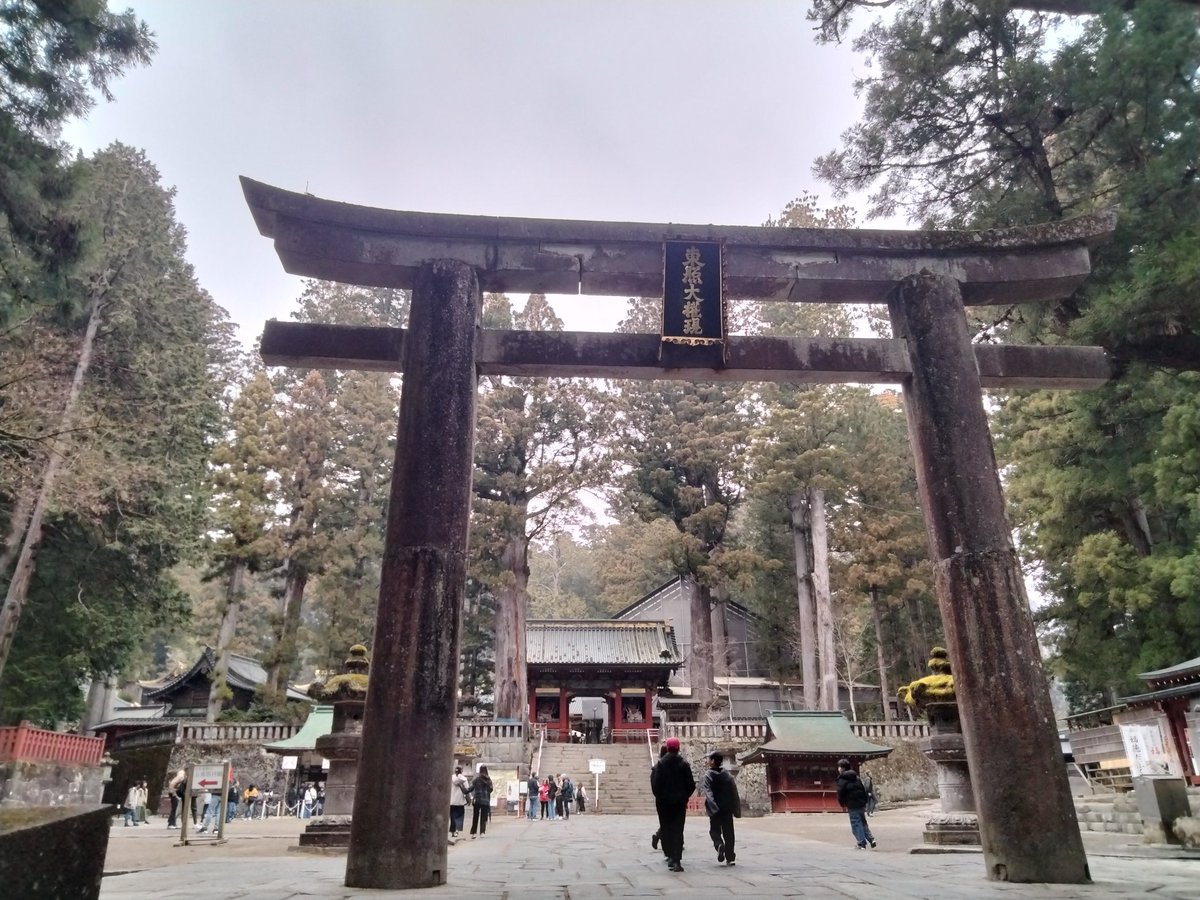 もうかのほし tweet media