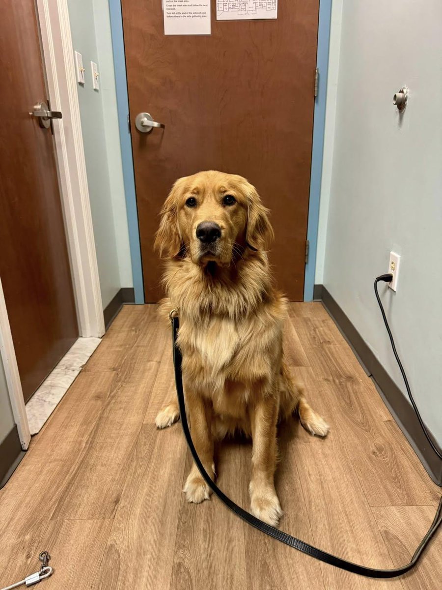 Sara Mary ⭐❤️ tweet media