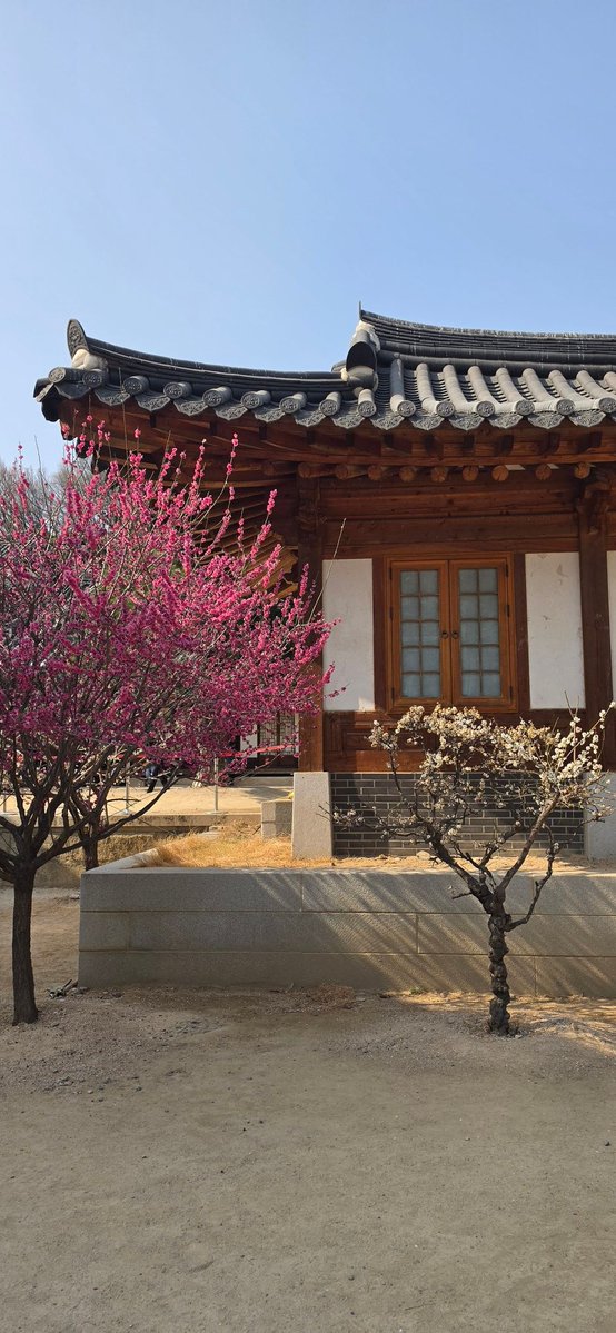 🍑sub_sub🍑 tweet media